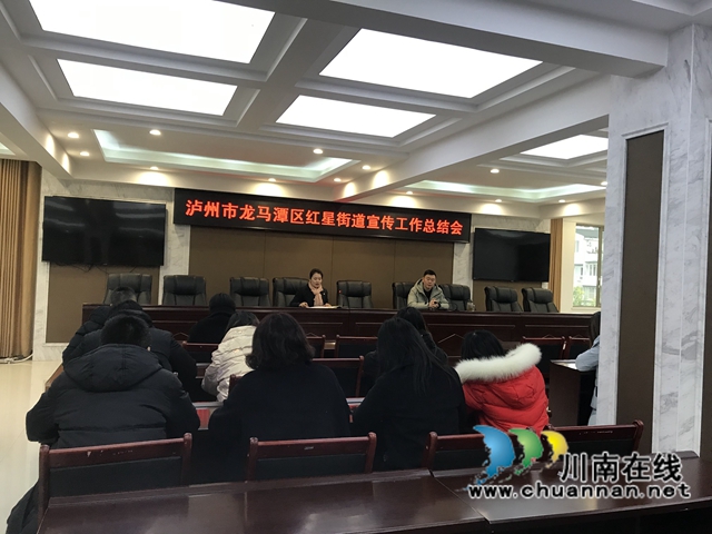 龙马潭区红星街道开展宣传工作总结会议