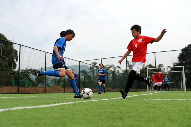 泸州出台教育新规：中小学劳动教育课每周不少于1课时