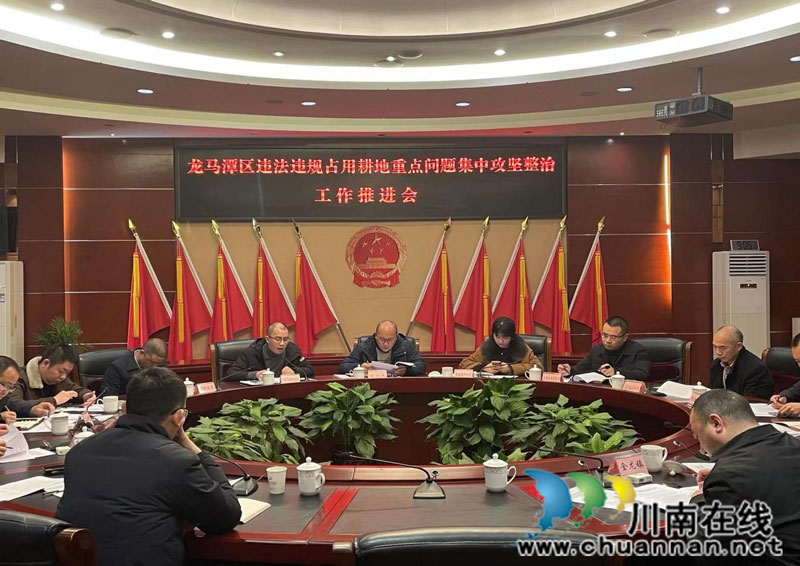 龙马潭区召开违法违规占用耕地重点问题集中攻坚整治工作推进会