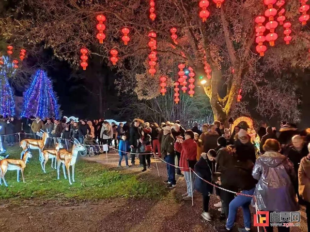 走出去！自贡彩灯将登陆法国电视台(图4)