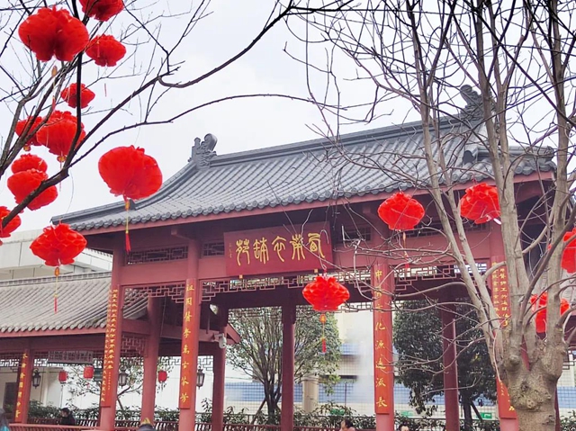 【围观】大红灯笼高高挂，这一天西南医大中医院格外喜庆！(图5)