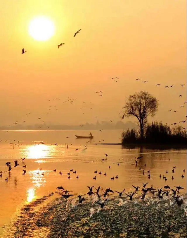 1月21日起，泸州-西昌加密，云龙机场首迎国产民机！(图4)