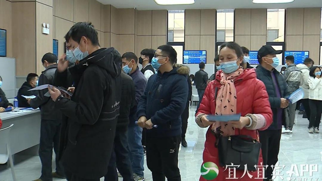 宜宾人力资源服务产业园正式开园！找工作看过来(图5)