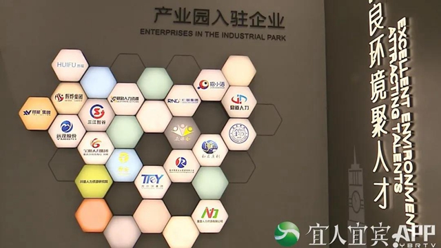 宜宾人力资源服务产业园正式开园！找工作看过来(图4)