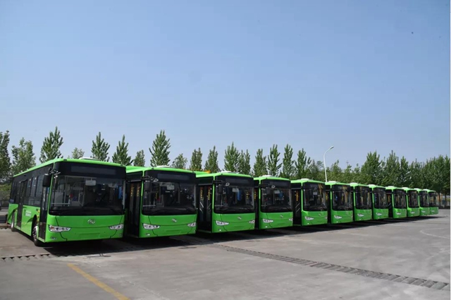 运力加倍，班次加密，泸州公交扫墓专线来了！