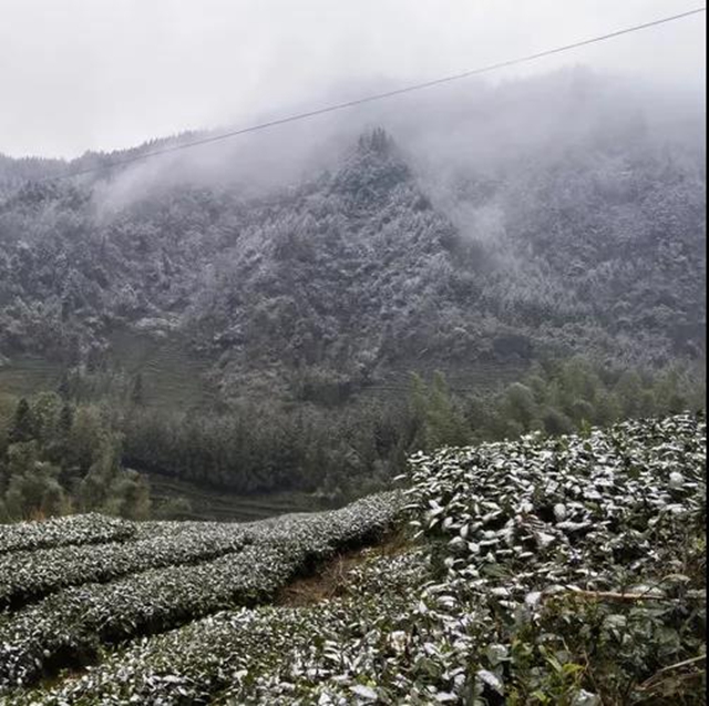 雪！雪！雪！宜宾这些地方都下雪啦！(图4)