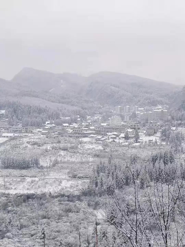 雪！雪！雪！宜宾这些地方都下雪啦！(图6)