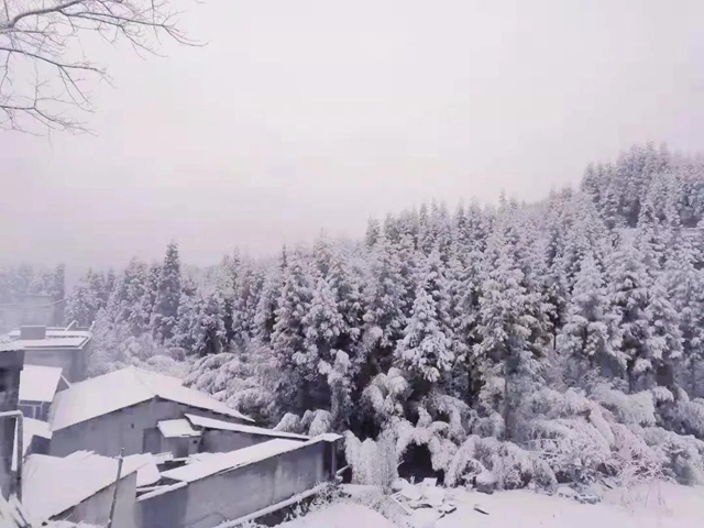 雪！雪！雪！宜宾这些地方都下雪啦！(图9)