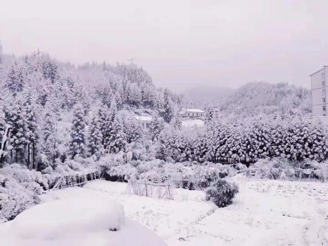 雪！雪！雪！宜宾这些地方都下雪啦！(图10)