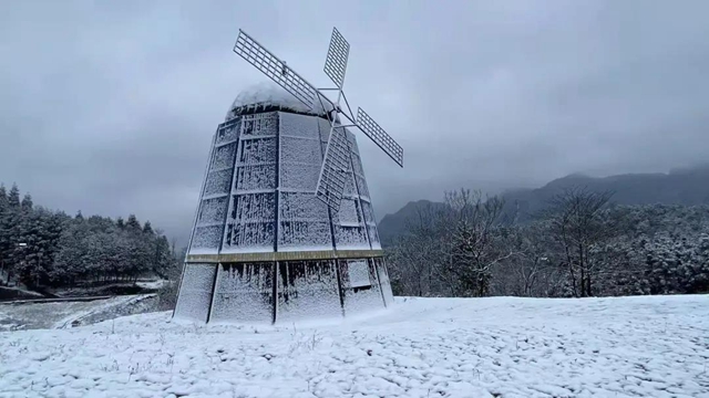 雪！雪！雪！宜宾这些地方都下雪啦！(图12)