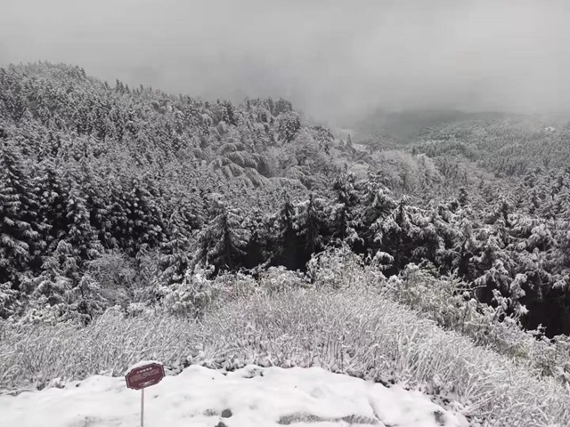 雪！雪！雪！宜宾这些地方都下雪啦！(图13)