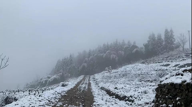 雪！雪！雪！宜宾这些地方都下雪啦！(图15)