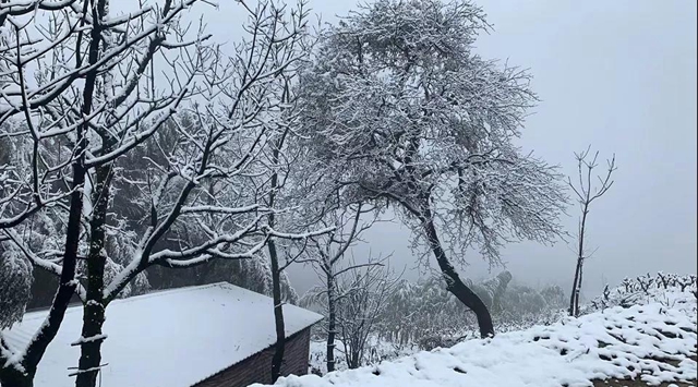 雪！雪！雪！宜宾这些地方都下雪啦！(图16)