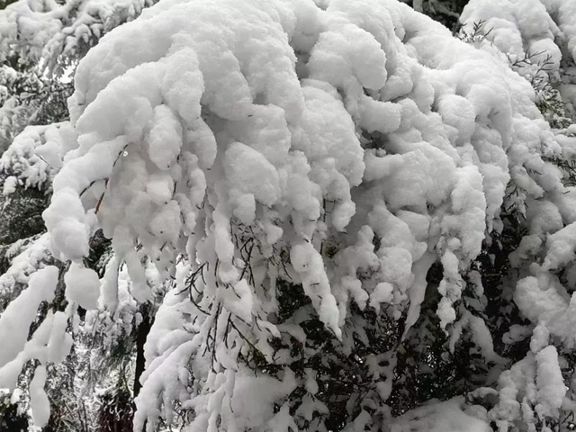 雪！雪！雪！宜宾这些地方都下雪啦！(图17)