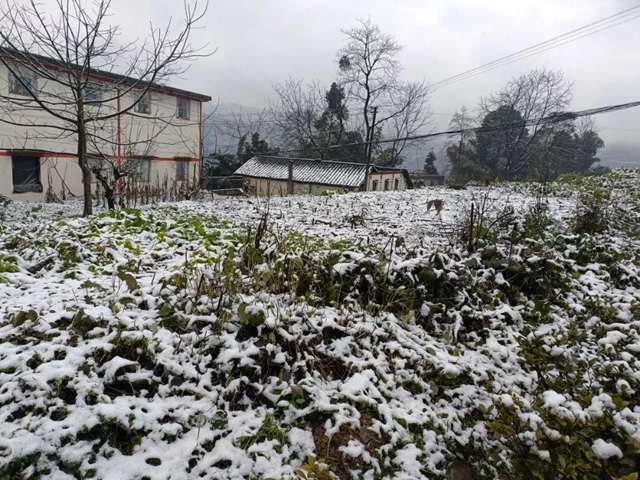 雪！雪！雪！宜宾这些地方都下雪啦！(图19)