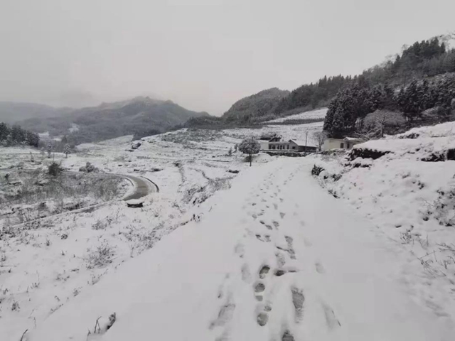 雪！雪！雪！宜宾这些地方都下雪啦！(图18)