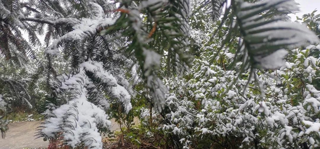 雪！雪！雪！宜宾这些地方都下雪啦！(图23)