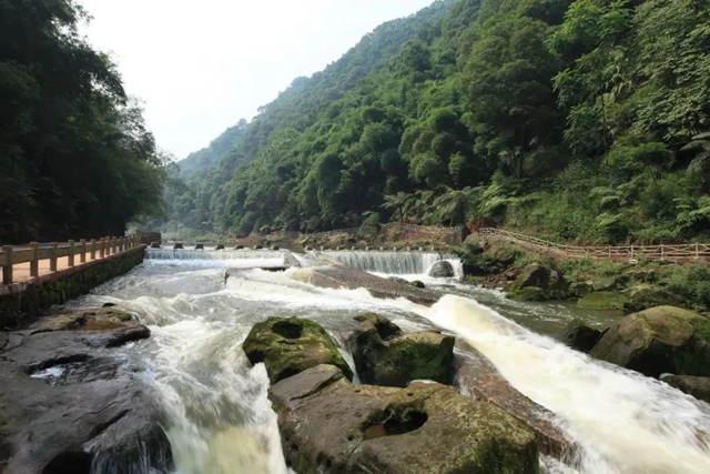 宜宾“旅游高速”来了！一路美食美景(图36)