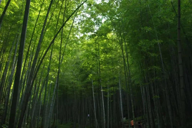 内江超好耍的乡村旅游点都在这了，你觉得最安逸的是哪一个？(图2)