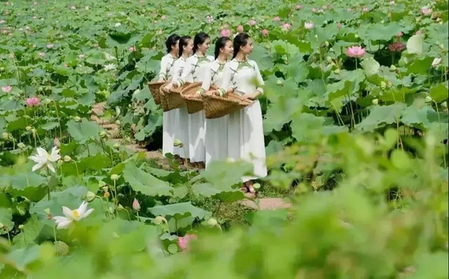 内江超好耍的乡村旅游点都在这了，你觉得最安逸的是哪一个？(图15)