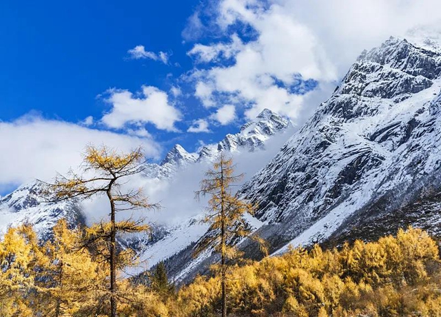 春节假期前三天，四川A级景区累计接待游客784余万人次(图2)