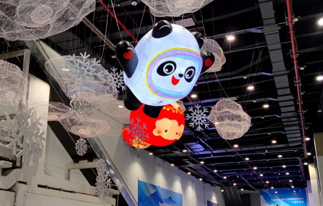 火遍全网的“冰墩墩”，居然与自贡也有不解之缘！(图5)