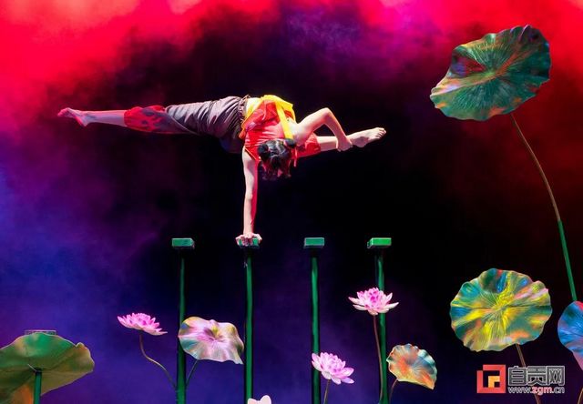 惊艳亮相！自贡两个杂技节目登上加拿大春晚舞台(图3)
