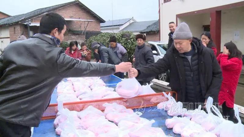 “豪横”！内江这个地方给每人发1斤半猪肉(图1)