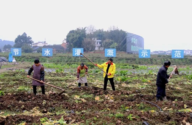 江阳:春回大地,田间地头备耕忙(图1) 江阳:春回大地,田间地头备耕忙(图1)