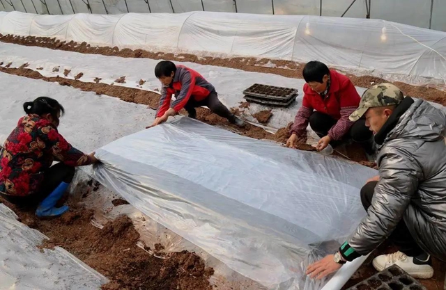 江阳:春回大地,田间地头备耕忙(图4) 江阳:春回大地,田间地头备耕忙(图4)