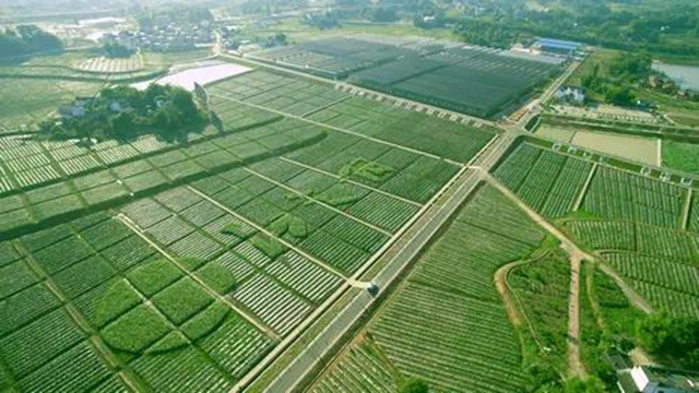 铺就乡村振兴快车道｜泸州争创“四好农村路”省级示范市(图6)