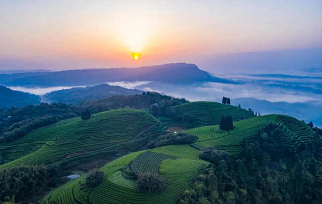 连续九届 | 这个周末，精彩纳溪不容错过！(图3)