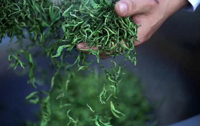 连续九届 | 这个周末，精彩纳溪不容错过！(图5)