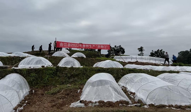 合江：开种门，迎春耕啦！(图1)