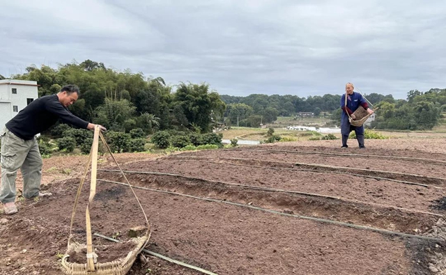 合江：开种门，迎春耕啦！(图3)