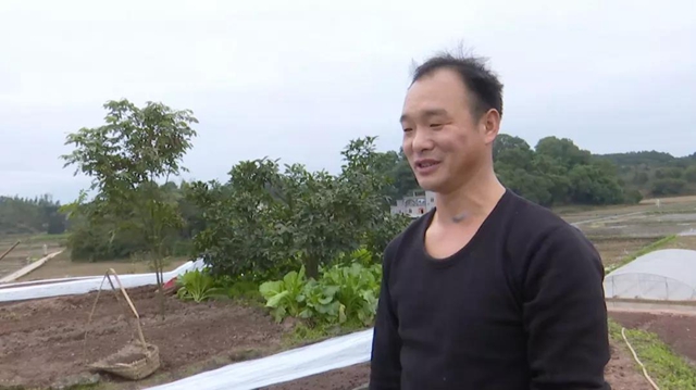 合江：开种门，迎春耕啦！(图4)