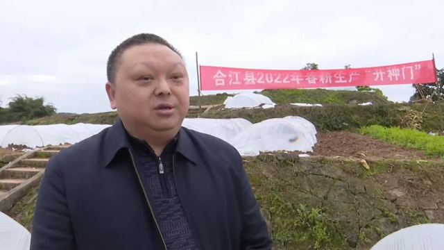 合江：开种门，迎春耕啦！(图8)