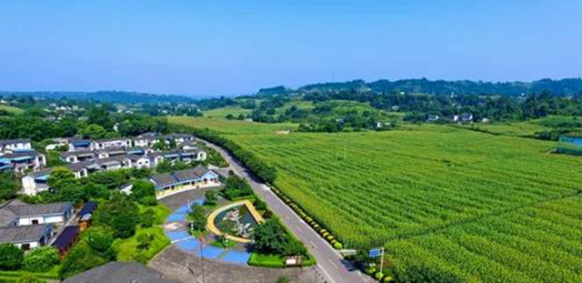 铺就乡村振兴快车道｜泸州争创“四好农村路”省级示范市(图4)