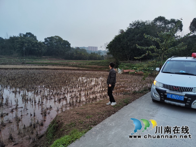 泸县云龙镇:持续开展全面巡查,筑牢秸秆禁烧屏障(图2) 泸县云龙镇:持续开展全面巡查,筑牢秸秆禁烧屏障(图2)