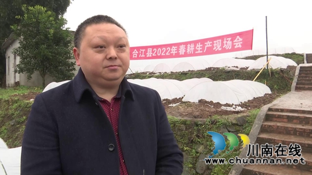 雨水好时节!合江县春耕生产拉开战幕(图7) 雨水好时节!合江县春耕生产拉开战幕(图7)