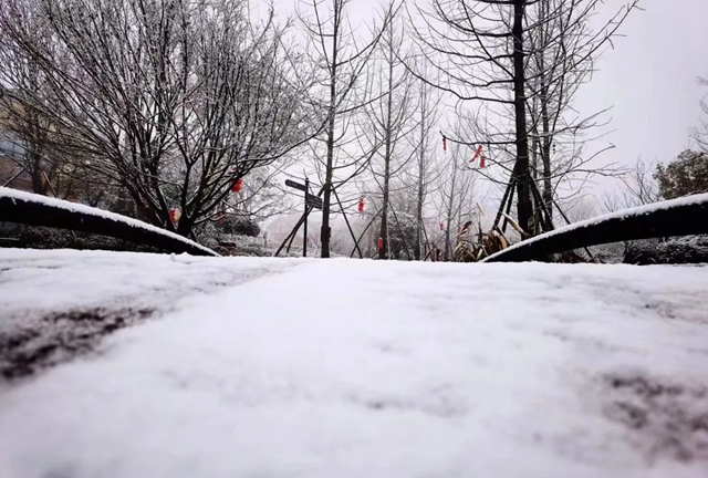 雪落春风,合江的春雪别样美丽……(图2) 雪落春风,合江的春雪别样美丽……(图2)