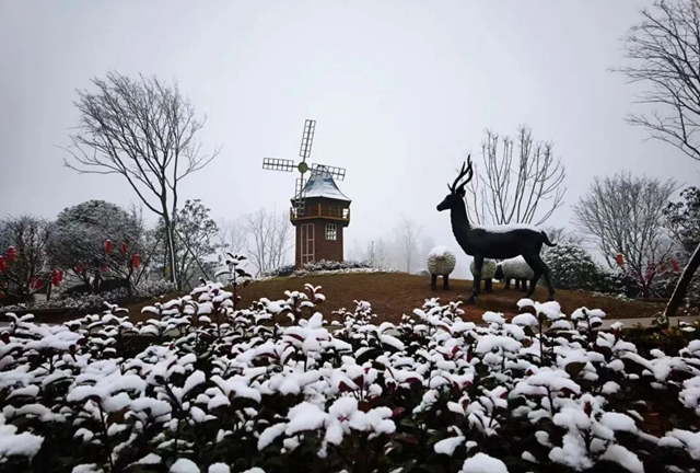 雪落春风,合江的春雪别样美丽……(图4) 雪落春风,合江的春雪别样美丽……(图4)