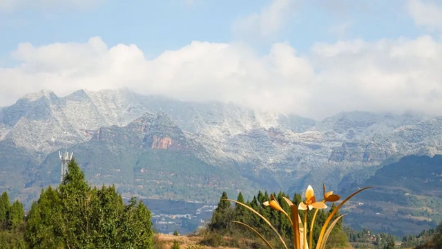 暖阳高照，雪山绵延，蔺州大地一秒“回春”！(图6)