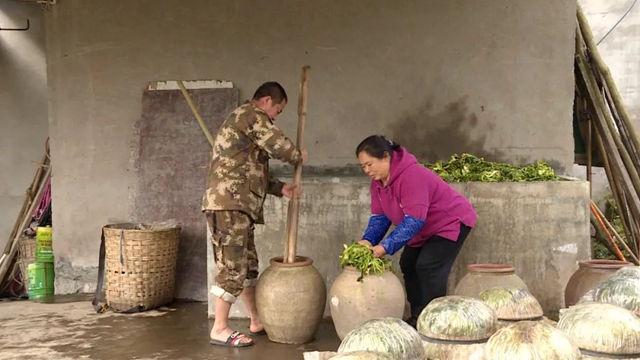 小小芽菜,如何撑起王庄村民的“钱袋子”?(图12) 小小芽菜,如何撑起王庄村民的“钱袋子”?(图12)