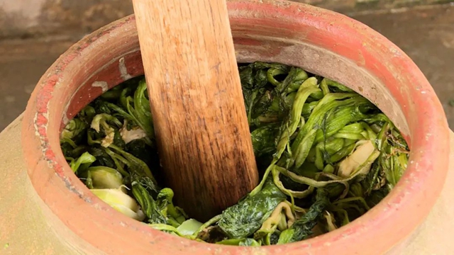 小小芽菜,如何撑起王庄村民的“钱袋子”?(图13) 小小芽菜,如何撑起王庄村民的“钱袋子”?(图13)