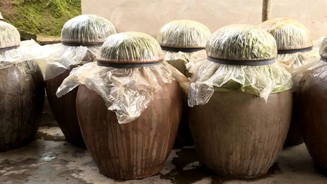 小小芽菜,如何撑起王庄村民的“钱袋子”?(图15) 小小芽菜,如何撑起王庄村民的“钱袋子”?(图15)