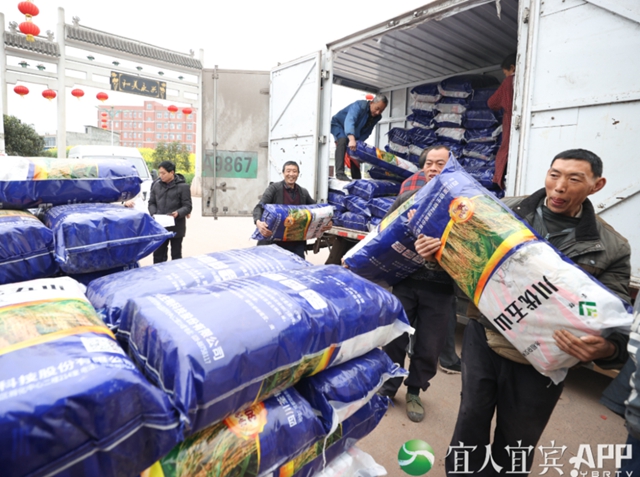 102吨！宜宾这个地方免费发大春粮食种子了！(图2)