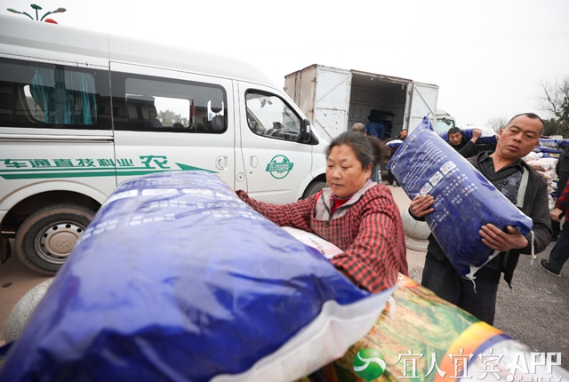 102吨！宜宾这个地方免费发大春粮食种子了！(图3)