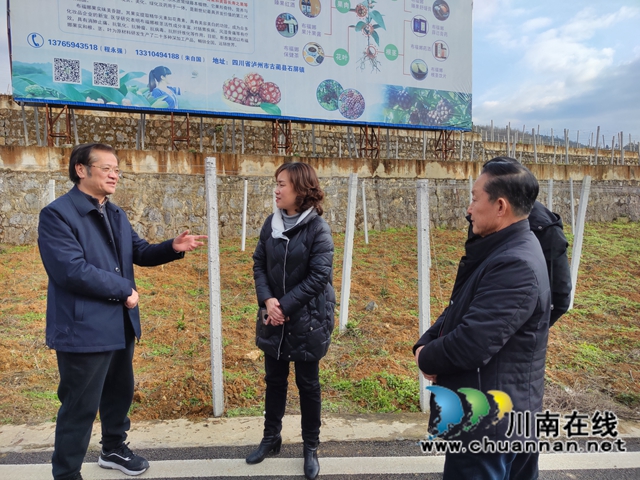 古蔺:市镇共建乡村振兴示范镇(图4) 古蔺:市镇共建乡村振兴示范镇(图4)