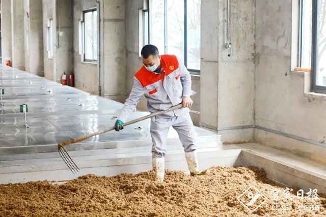 勇夺开门红丨宜宾企业“虎”力全开 冲刺开门红(图2)